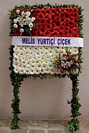 Pano Çelengi Serisi 1