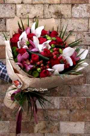 Cymbidium Serisi 3
