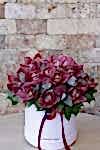 Cymbidium Orkide